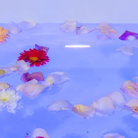 Host Bien-etre Jacuzzi Downtown Apartamento *