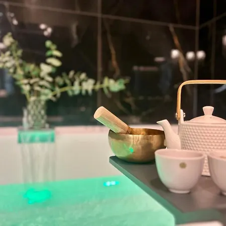 Host Bien-etre Jacuzzi Downtown Apartment Lyon